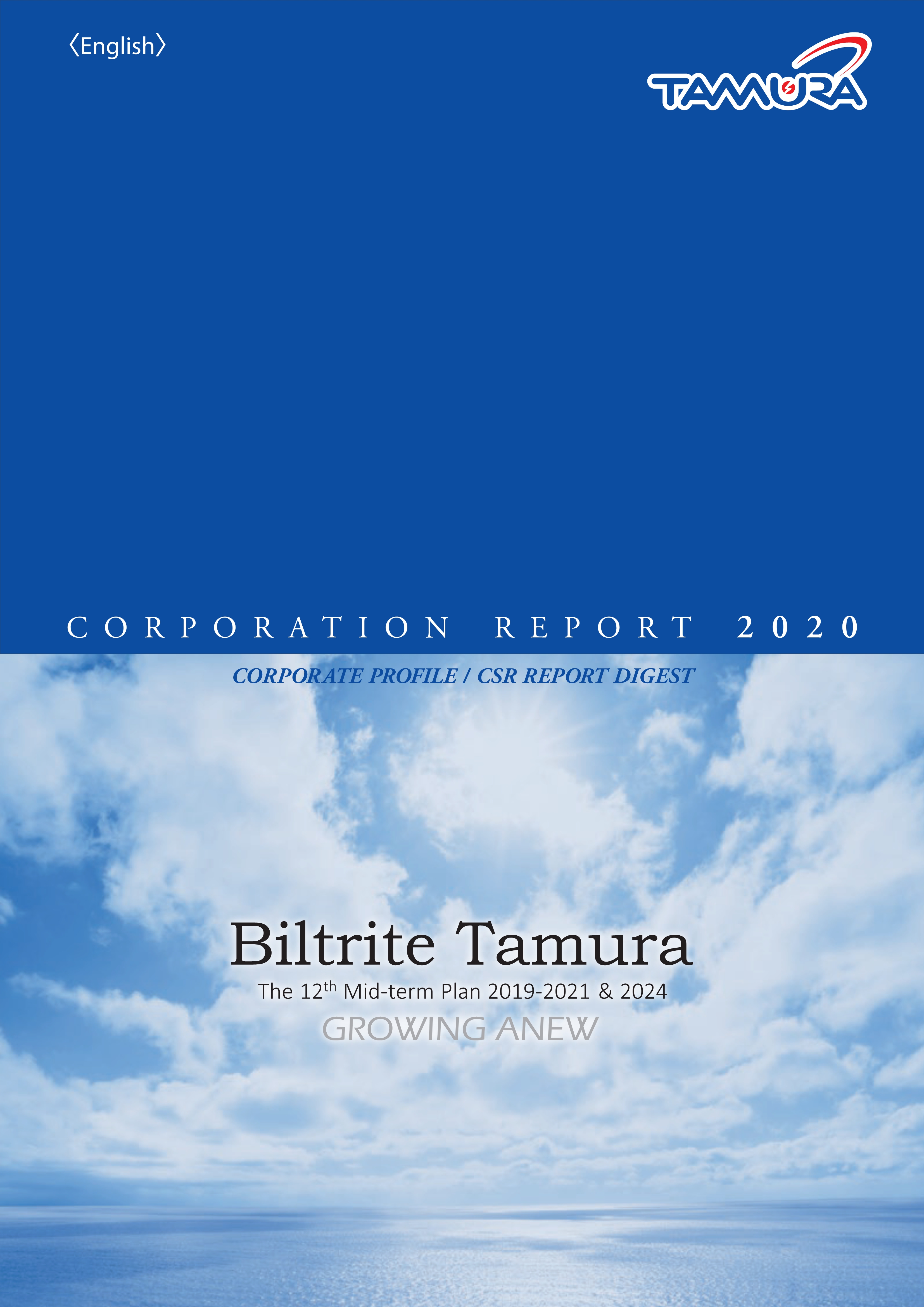 CORPORATION REPORT 2020